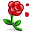 Flower Flower